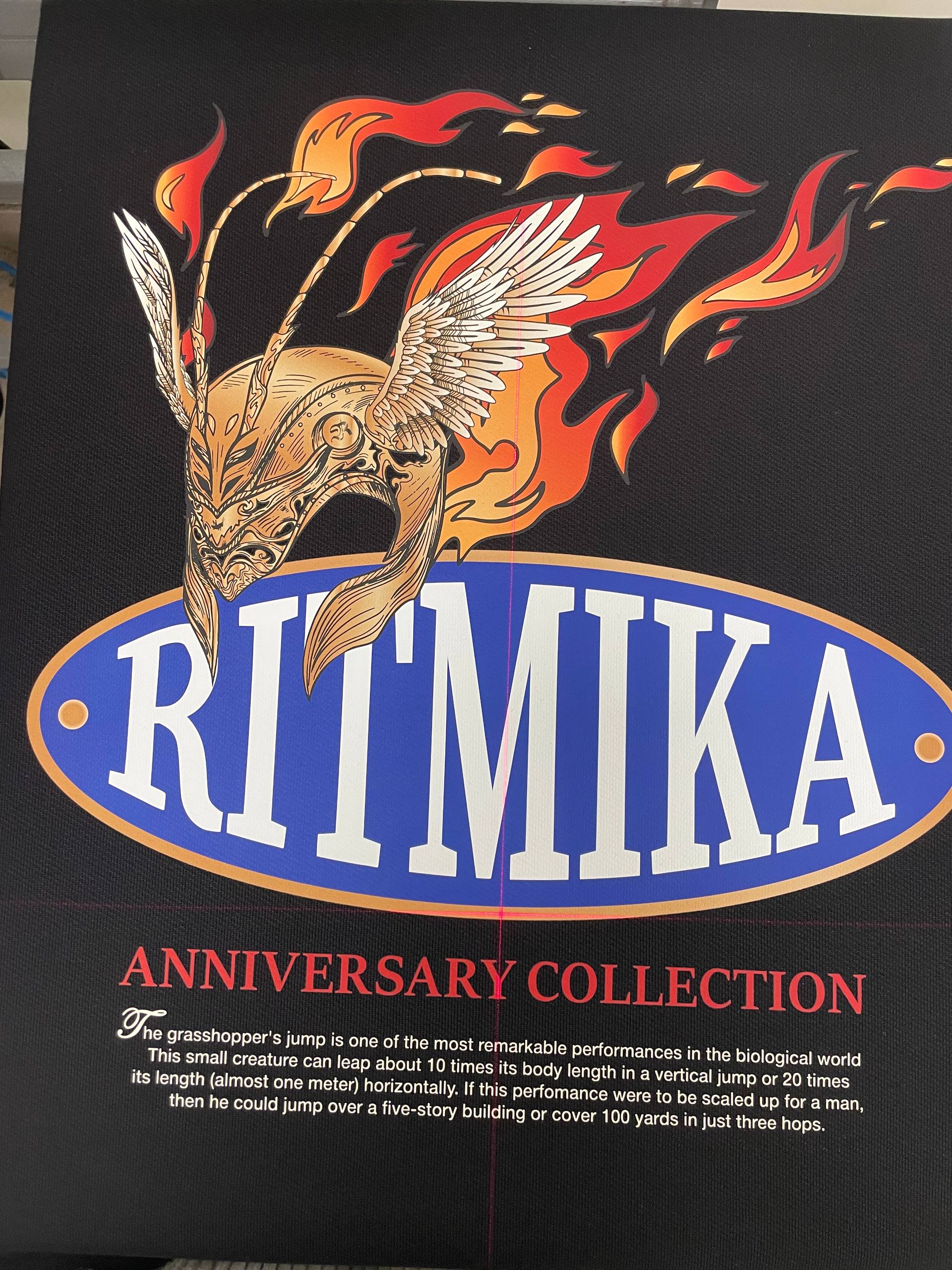 Проект Ритмика